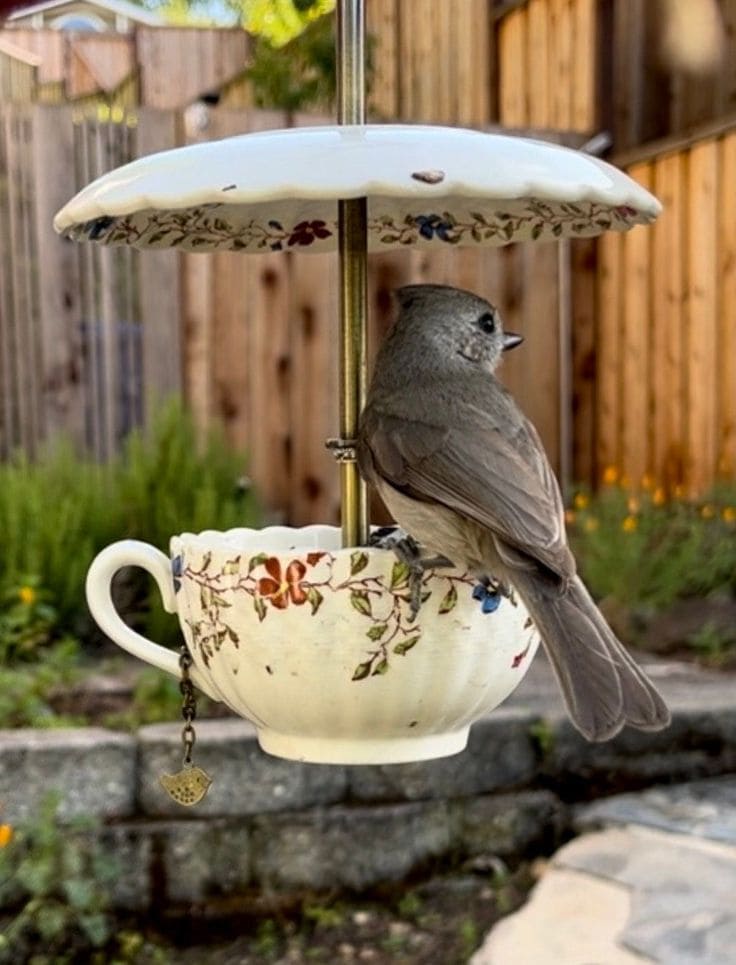 Hanging Teacup Bird Feeder
