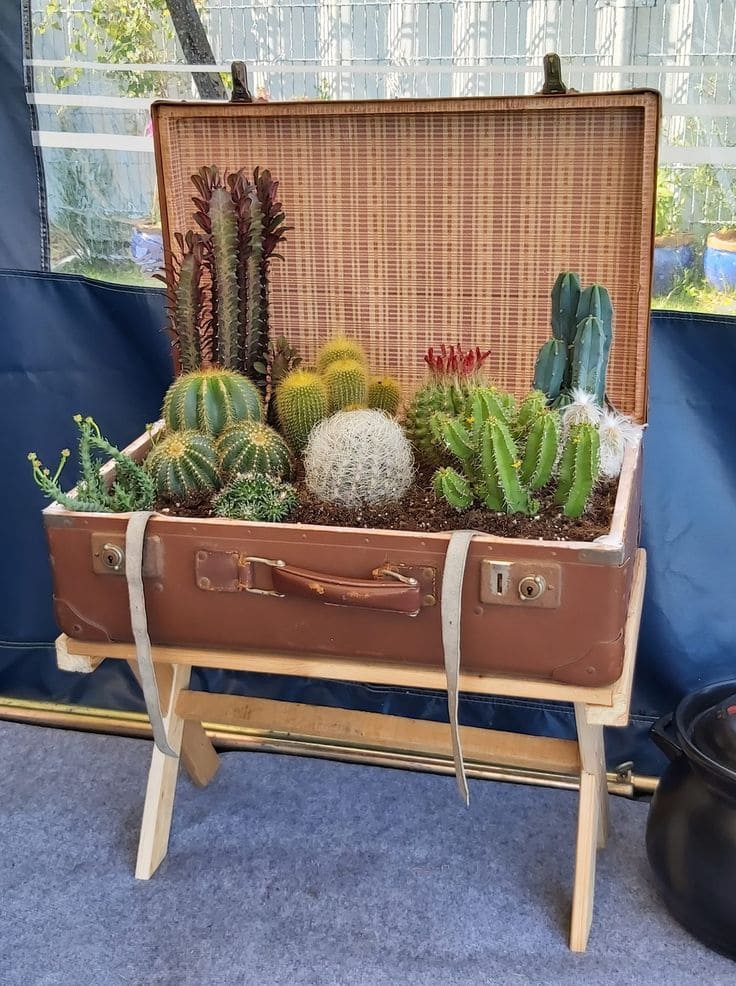 Desert Suitcase Garden