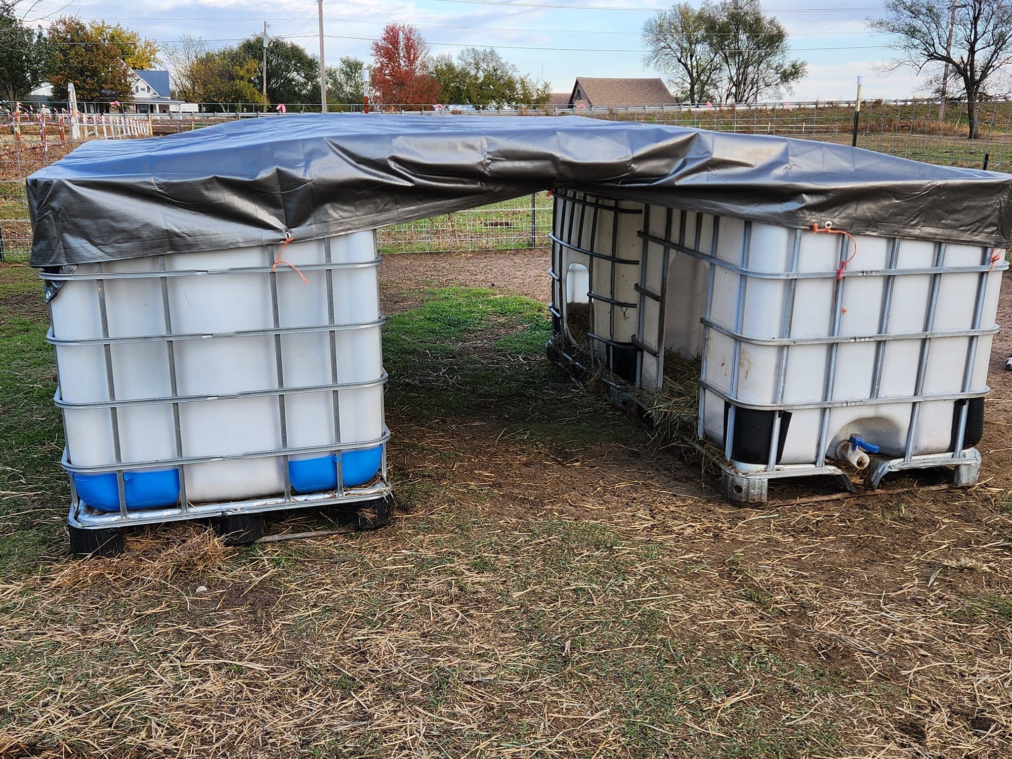 Dual IBC Tote Animal Shelter