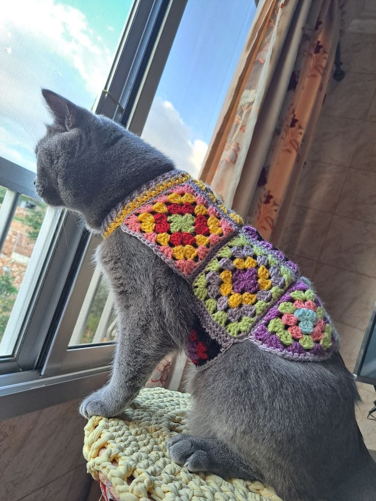 Crochet Granny Square Cat Sweater