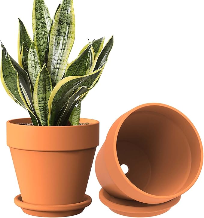 Shop terracotta pot