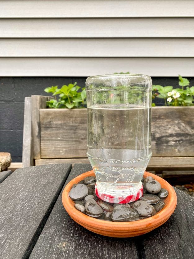 Automatic Bird Water Feeder