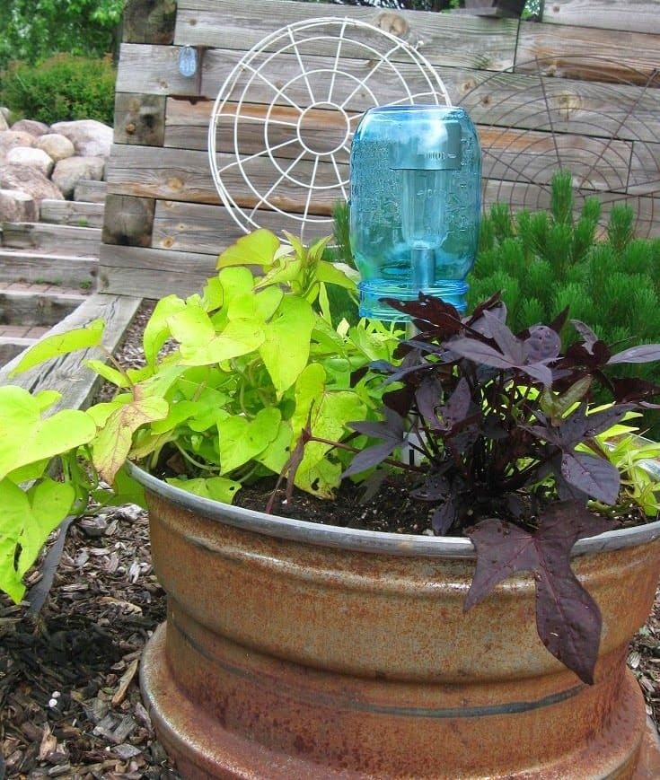 Charming Blue Jar Planter Solar Light