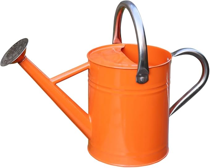 Shop metal watering can
