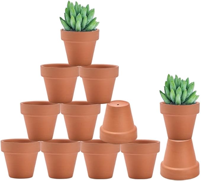 Shop small terracotta pots