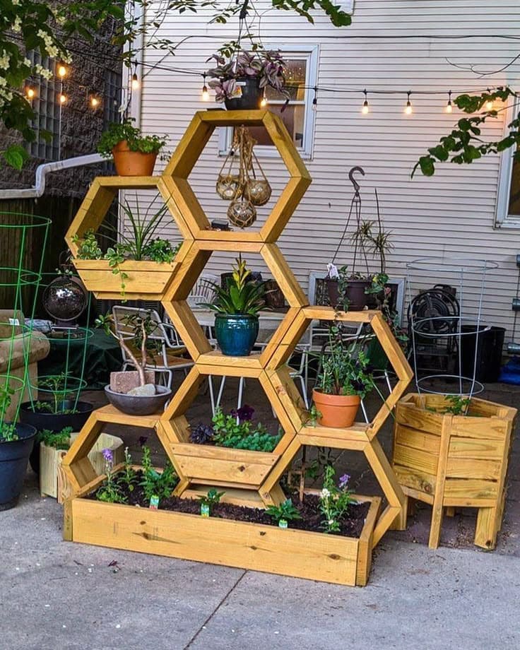 Stylish Hexagonal Pallet Plant Shelf
