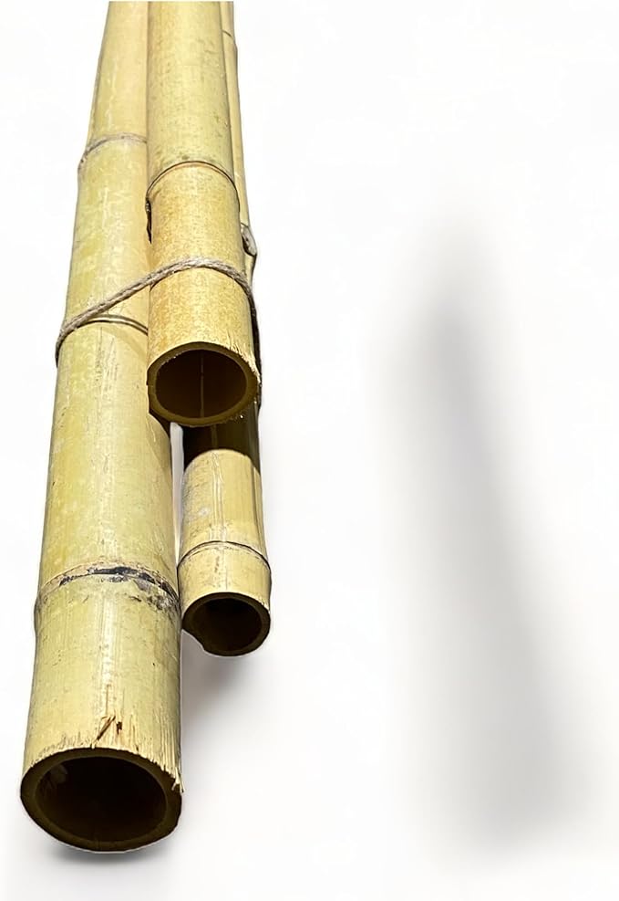 Shop bamboo pole