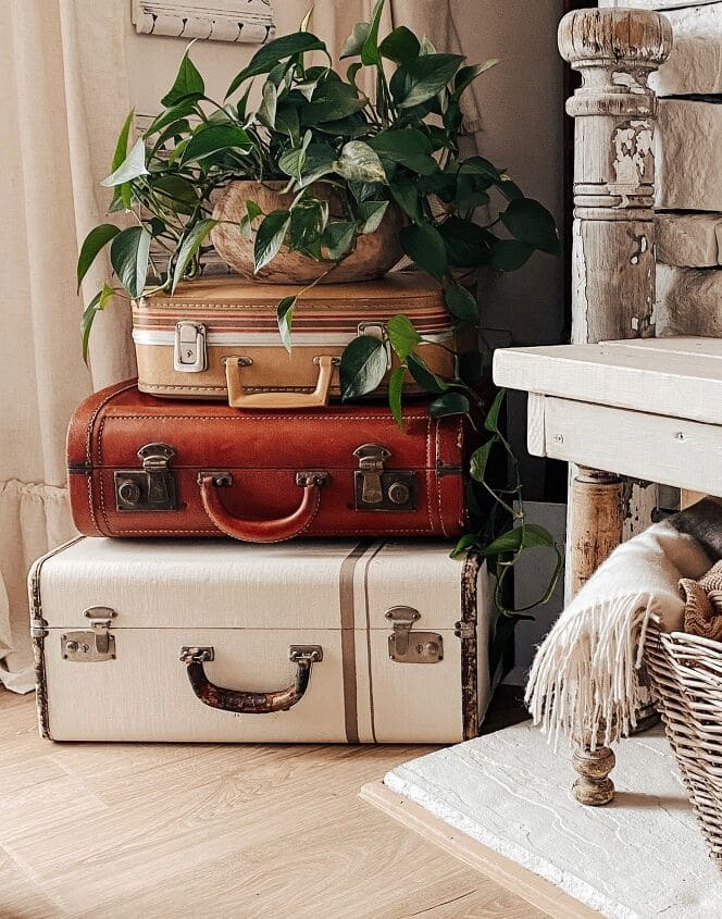 Rustic Suitcase Plant Stand