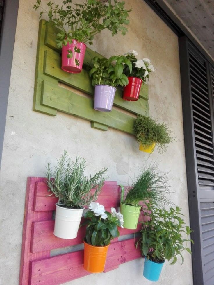 Cheerful Colorful Pallet Herb Wall