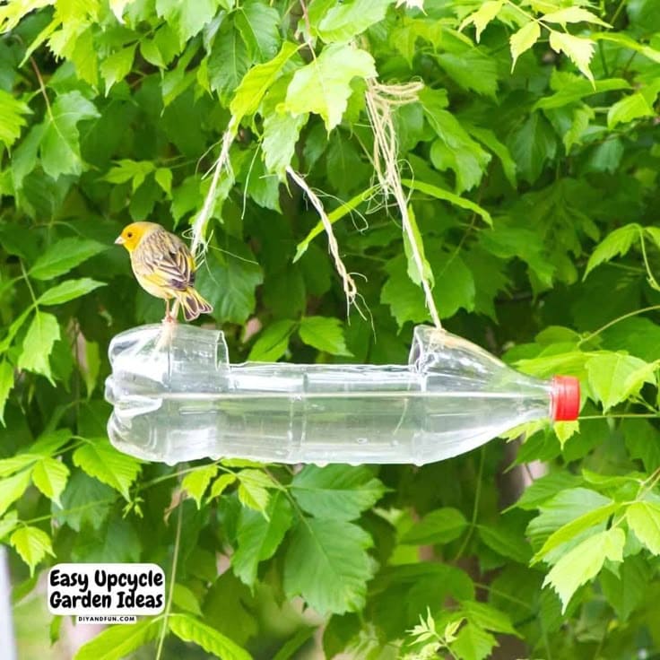 Hanging Birdbath from a Plastic Bottle