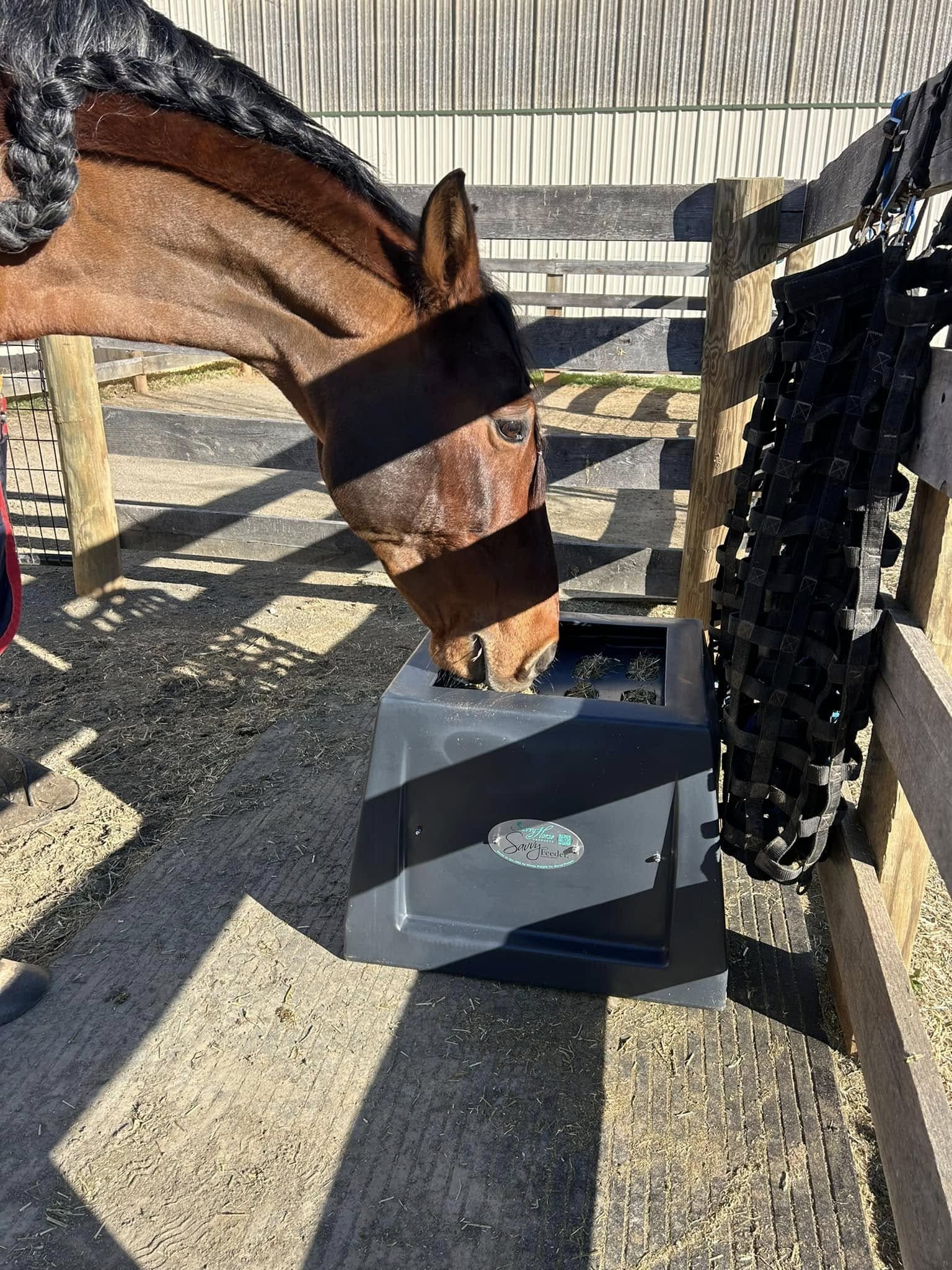 Corner Slow-Feed Hay Box