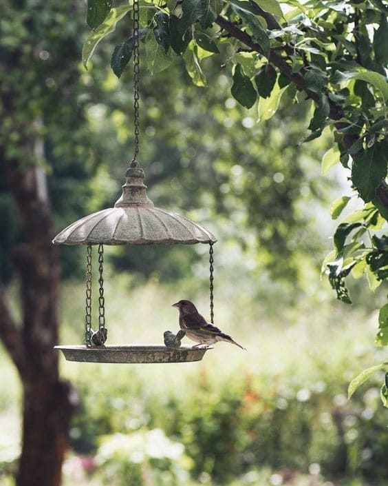 Vintage Hanging Metal Birdbath
