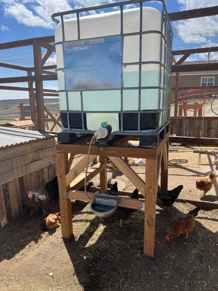 Elevated IBC Tote Chicken Waterer
