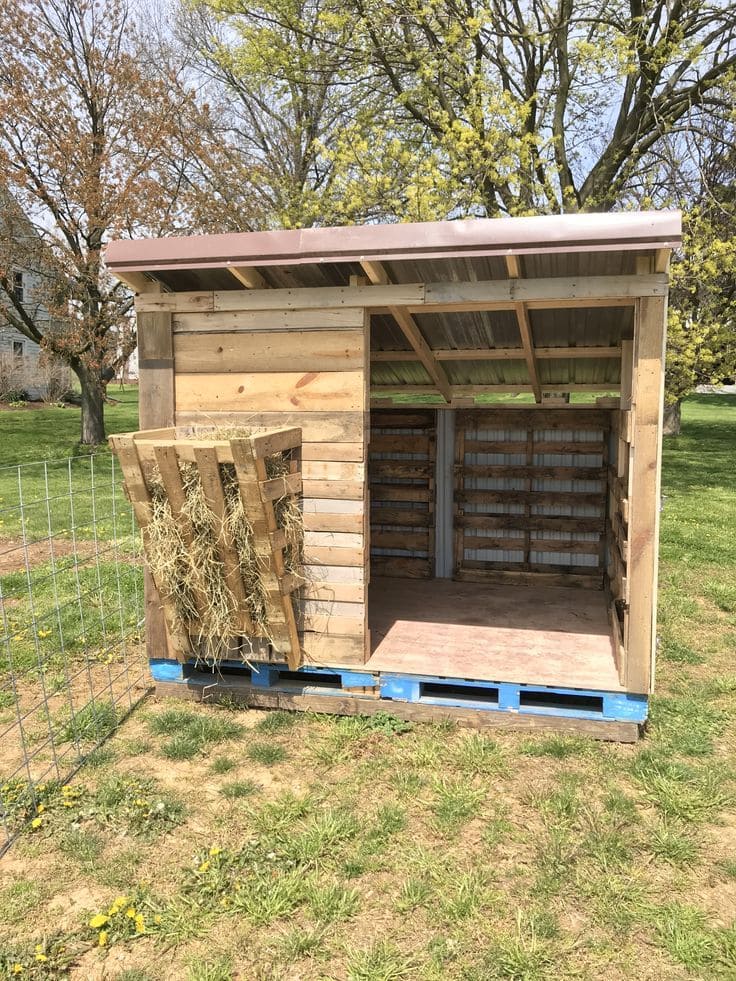 Rustic Pallet Goat Shelter with Feeder