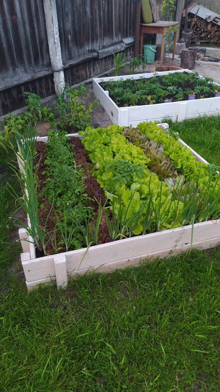 Vibrant Raised Pallet Veggie Haven