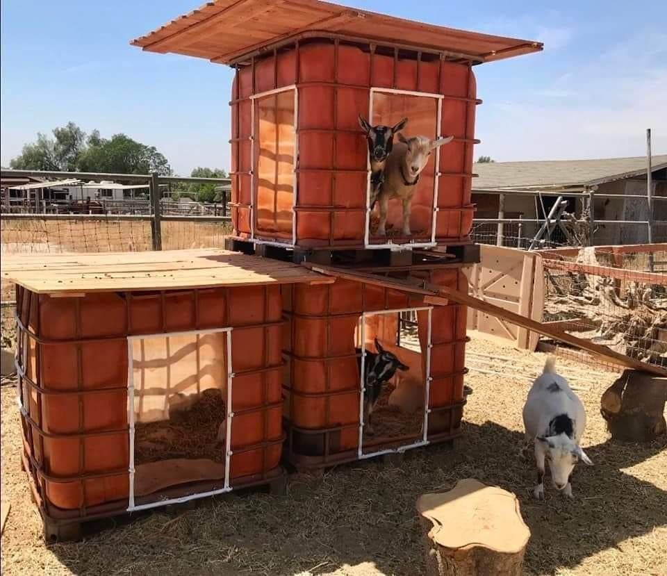 Multi-Level Goat Playhouse Shelter