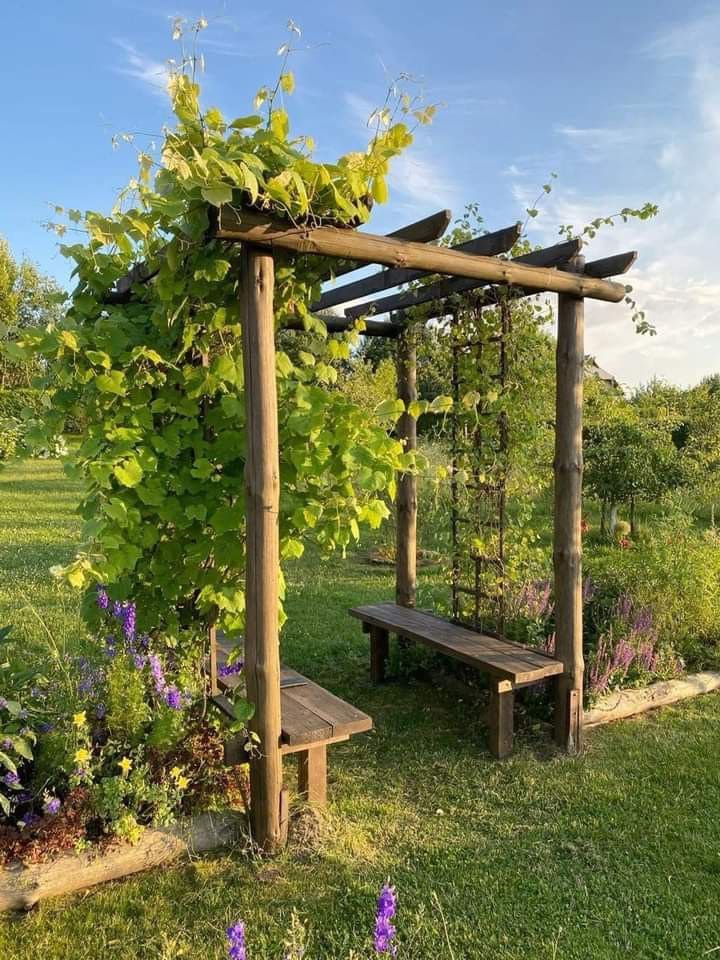 Wooden Pergola with Cozy Seating