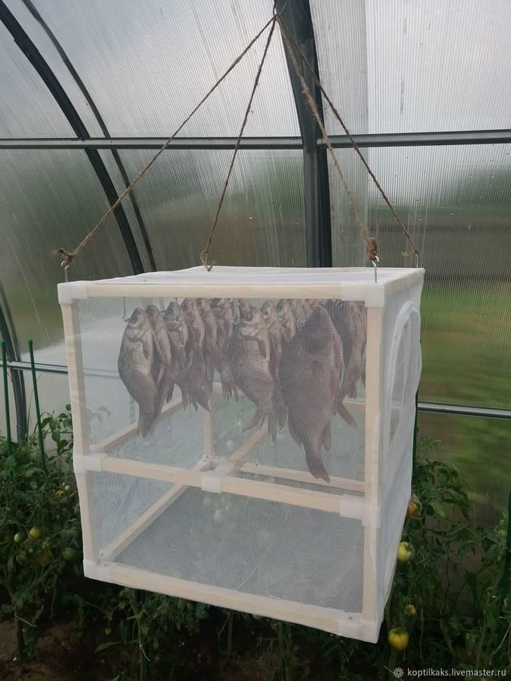 Mesh Hanging Fish Drying Cage