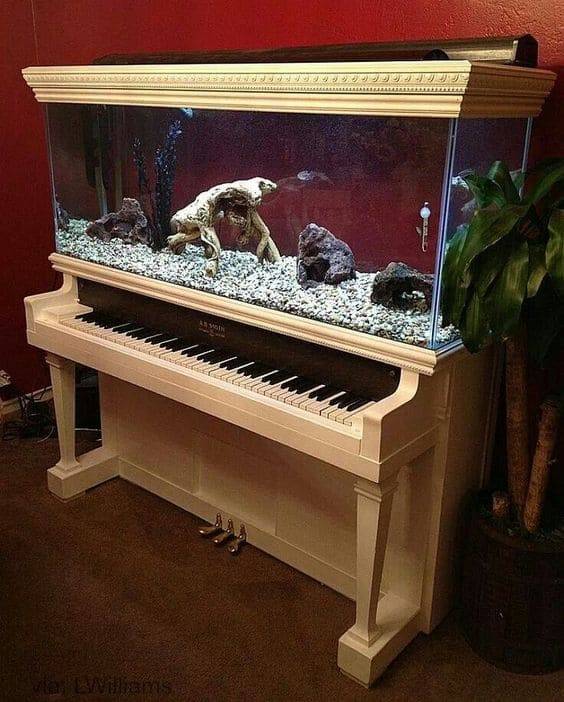 Piano Key Aquarium Wonder