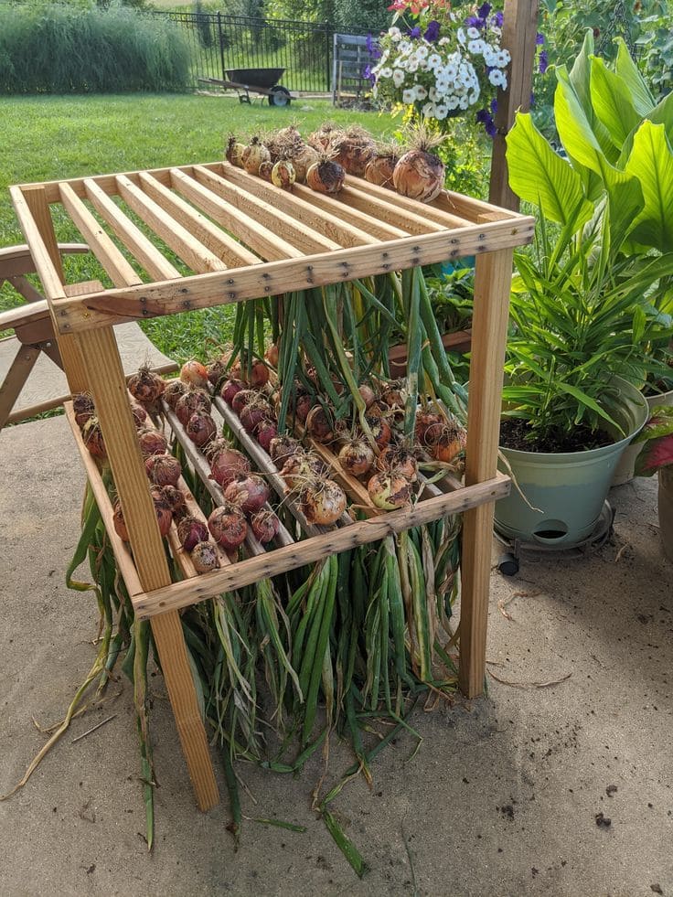 Multi-Level Wooden Onion Drying Rack
