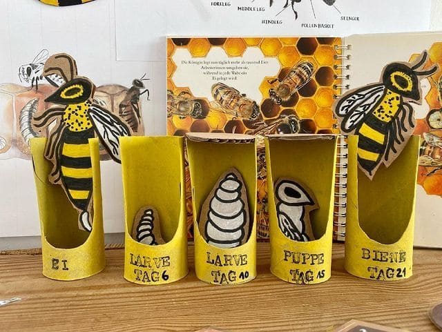 Creative Bee Life Cycle Paper Craft