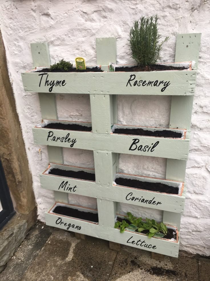 Organized Pallet Herb Garden Wall