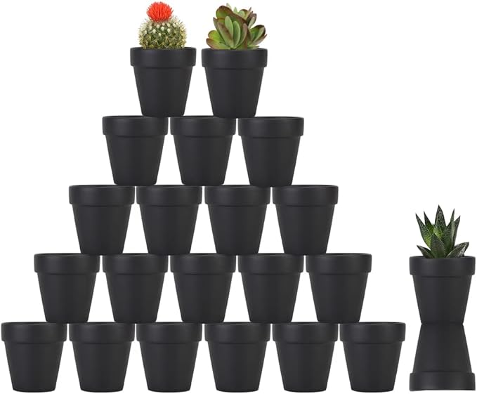 Shop Mini Black Plastic Pots