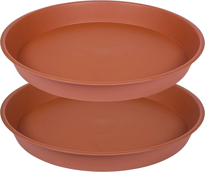 Shop large clay saucer