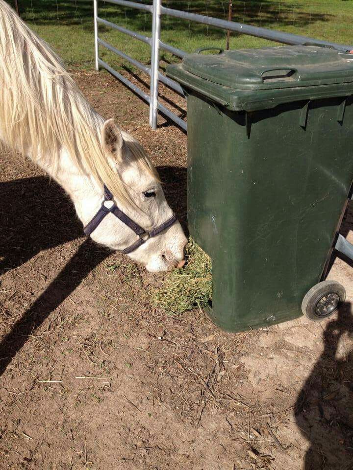Upcycled Trash Bin Hay Feeder