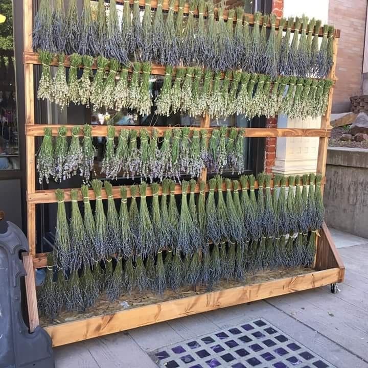 Sturdy Tiered Lavender Drying Display Rack