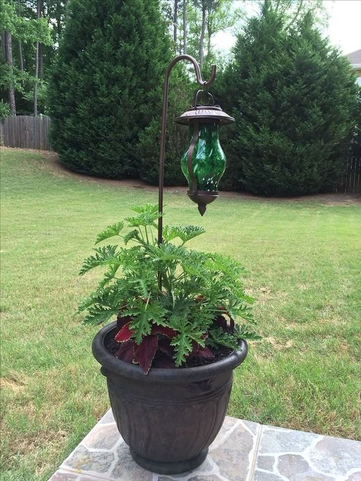 Vintage Lantern Planter Solar Light Feature