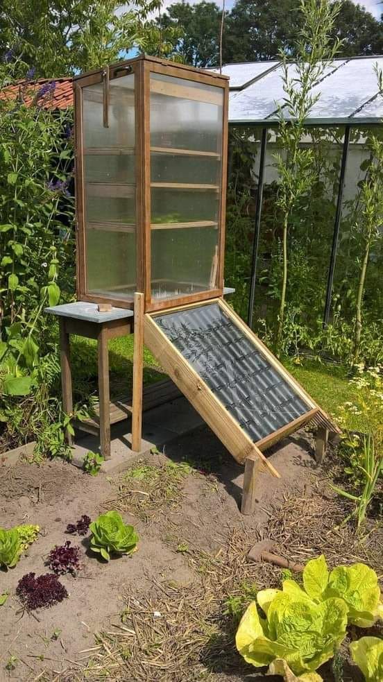 Solar-Powered Dehydrating Greenhouse