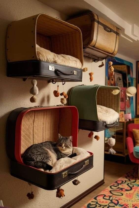 Whimsical Wall-Mounted Suitcase Cat Beds