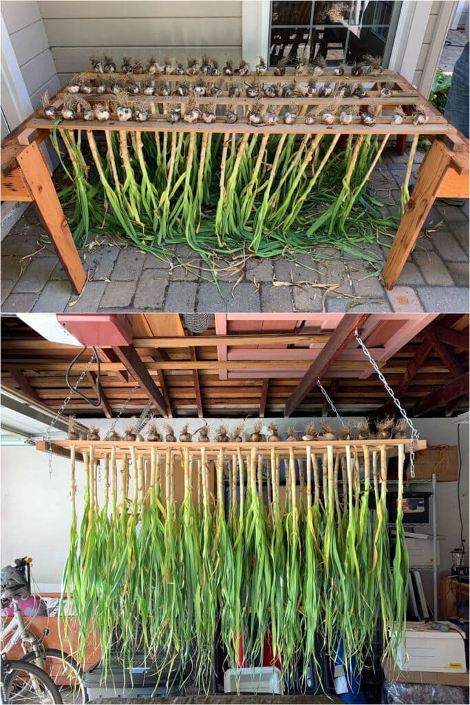 Rustic Pallet Garlic Drying Platform