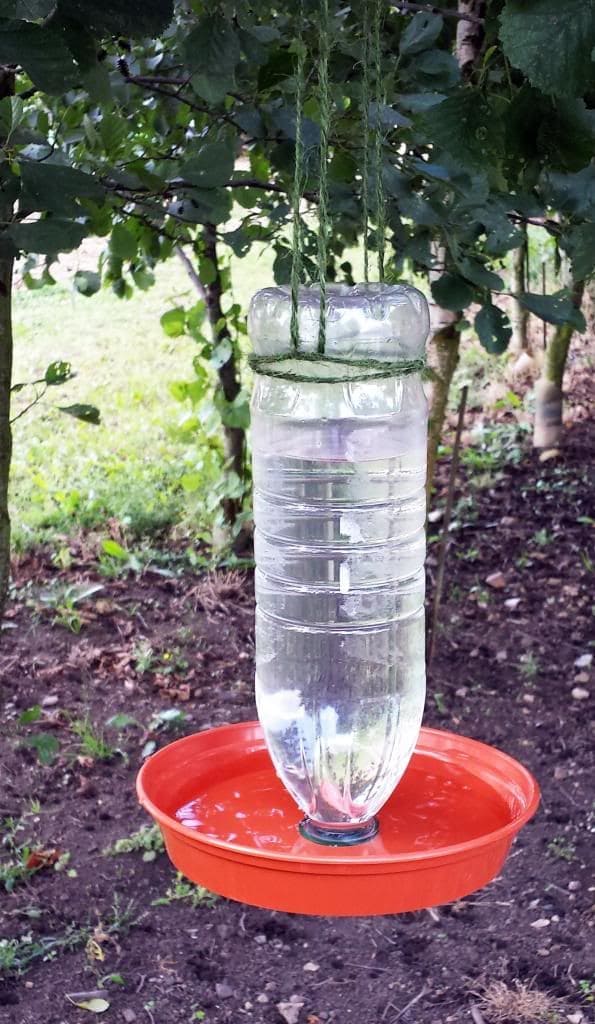 Hanging Water Bottle Birdbath