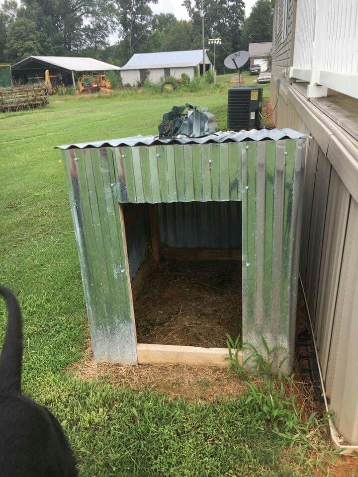 Corrugated Metal Goat Shelter